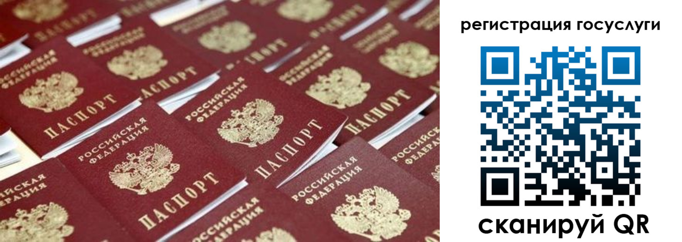 прописка ребенка в Славгороде